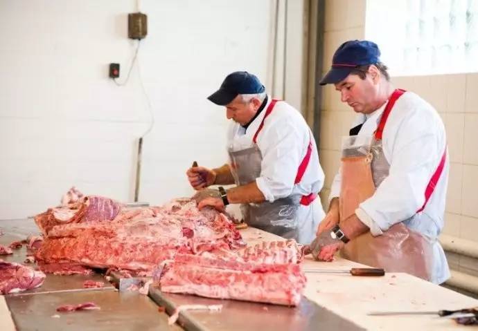 肉牛的屠宰流程與分割標(biāo)準(zhǔn)